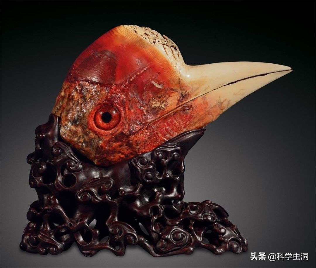 天津一女子买鸟头吊坠被判刑10年,天津女子买吊坠获刑十年