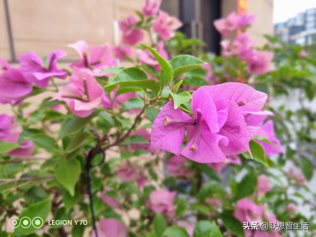 联想拯救者y70手机,拯救者y70最详细测评