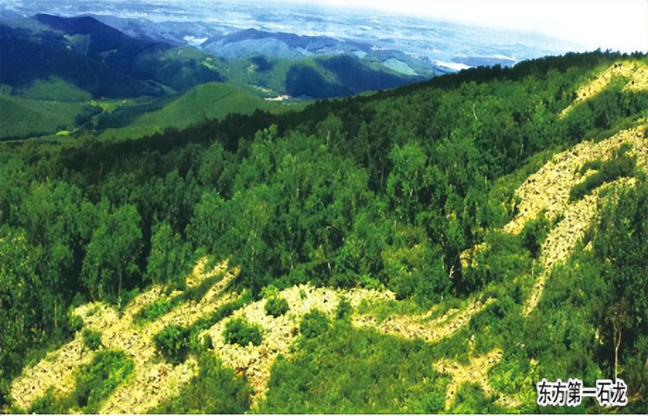 奥运冠军网红打卡地,奥运冠军之城有哪些