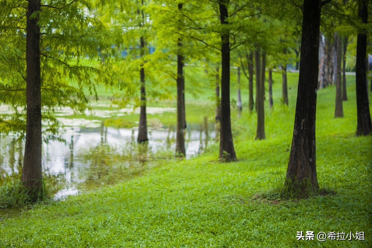 广州旅游：来广州一定要去的14个景点，你都打卡了吗？（上篇）
