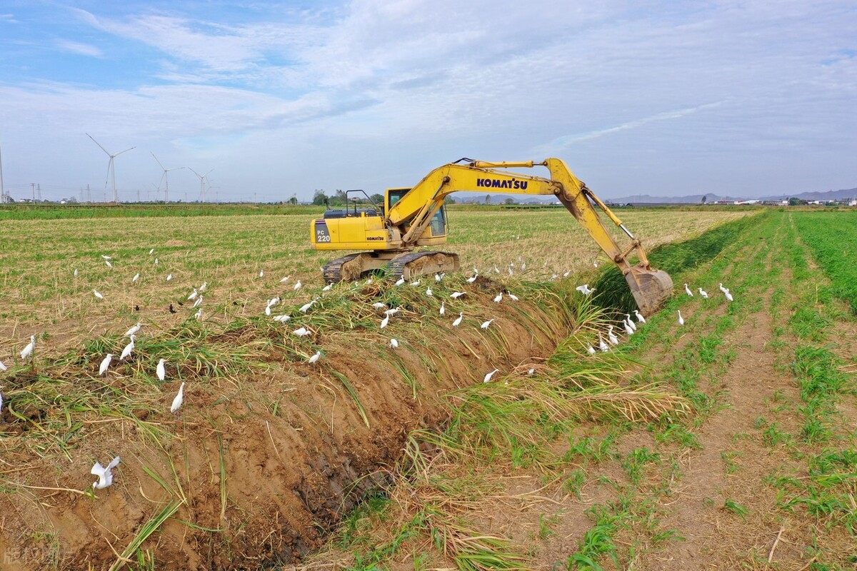 耕地撂荒处理法律法规,撂荒二年以上的耕地要强行收回吗