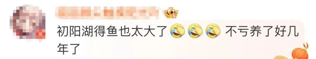 演员身亡的视频,演员意外死亡事件完整版