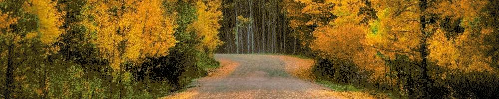 台湾最新猛片：女主角挑战从影尺度，狂揽9项大奖！连载|亲爱杀手