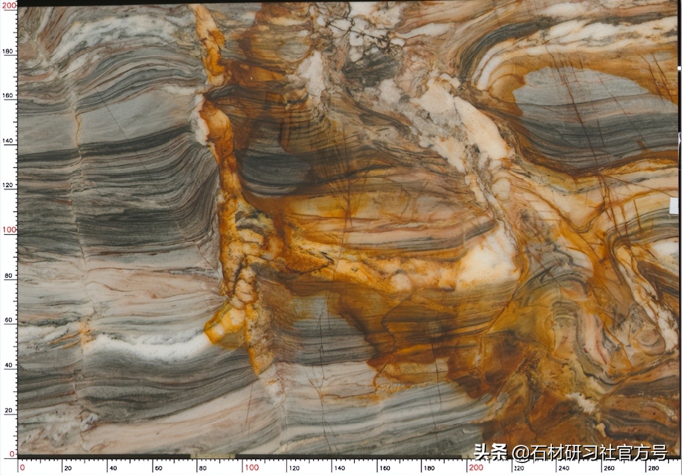 奢石详解,奢石知识科普