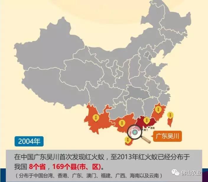 红火蚁咬伤人事件,小孩被红火蚁咬死亡