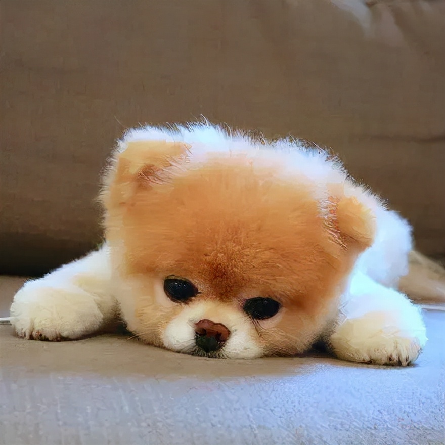 三万元给孩子报个培训班,3万元童星培训