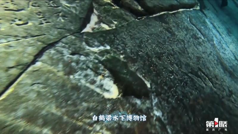 重庆游长江三峡的体验,重庆旅游攻略精彩瞬间记录