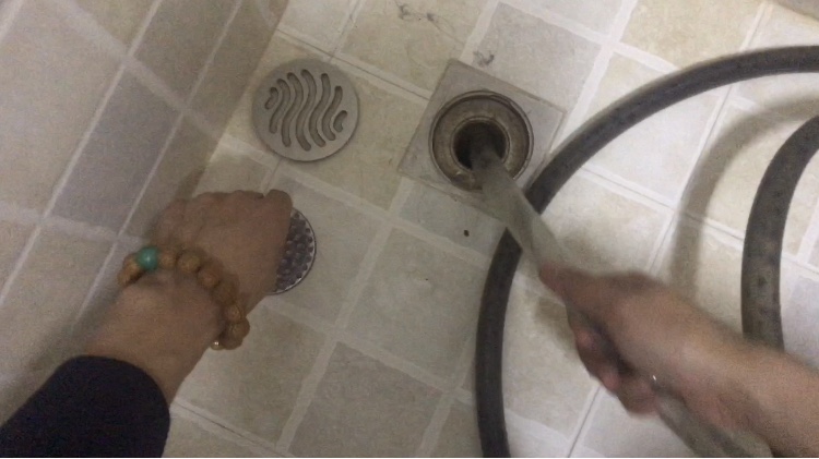 养鱼日记缸尾,养鱼日记底滤