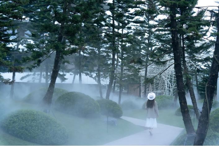 那些被我们忽略的风景,球球景观