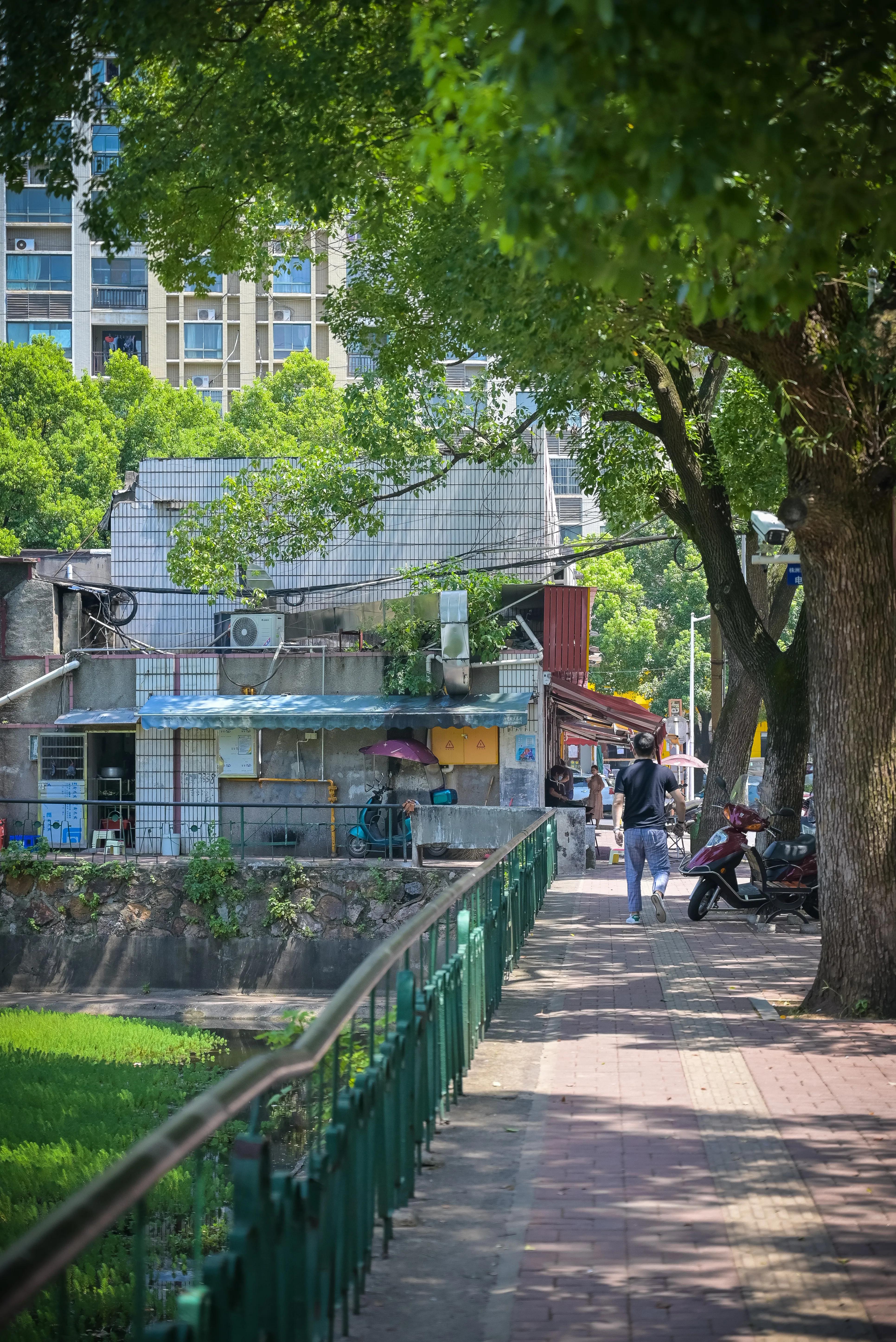 株洲棉纺厂,株洲棉纺厂历史