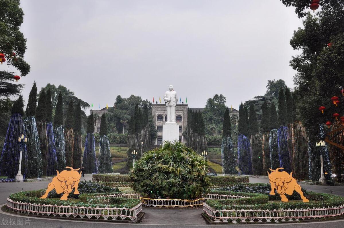 西南大学舞蹈系2023招生简章,西南大学舞蹈学专业怎么样