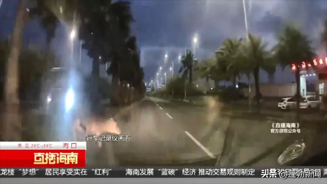 一头牛把人撞了,车把牛撞了谁的责任