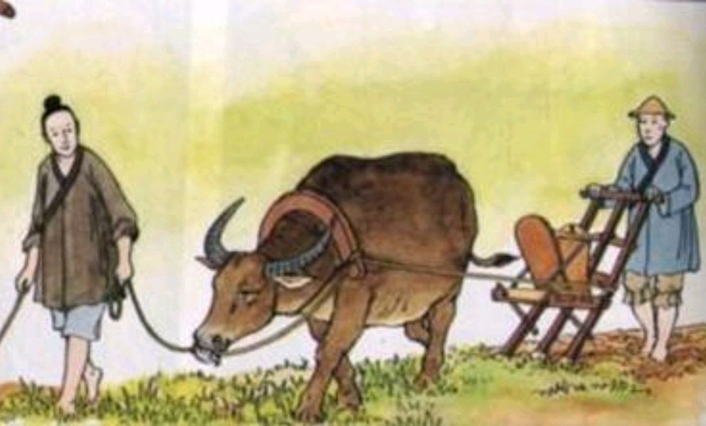 坟前有三物后人代代富,坟上有洞子孙穷