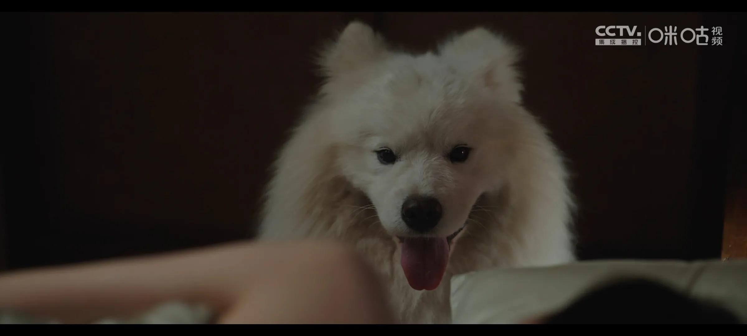 去有风的地方娜娜唱歌第几集,去有风的地方娜娜唱的歌