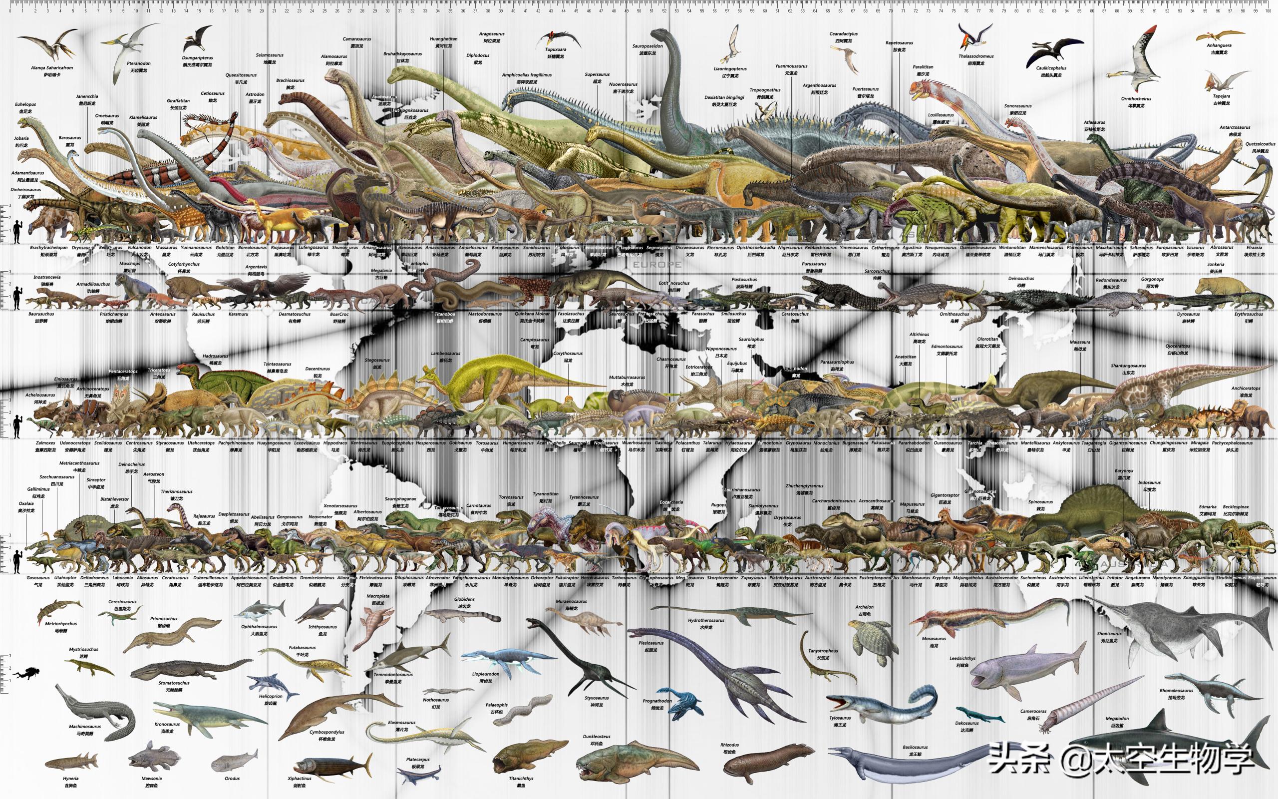 恐龙能适应现在的地球环境吗,恐龙在什么样的环境下才能有翼