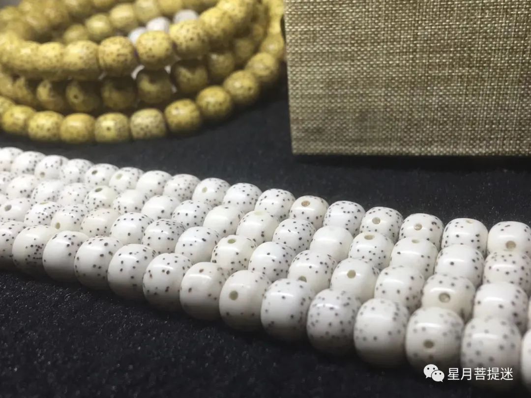 新手买星月便宜吗,新手买星月什么价位