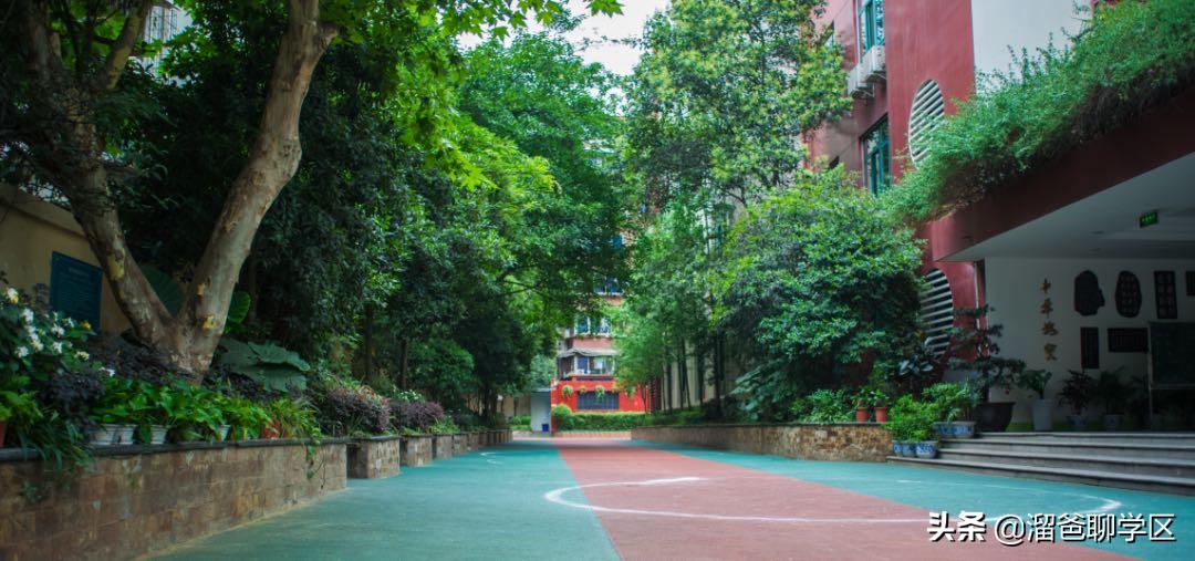 哪些小区可以上七中,成都锦江区7中育才对应的楼盘