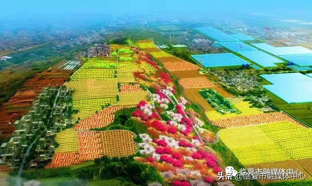 临夏湿地公园建设项目,临夏城市公园绿化工程
