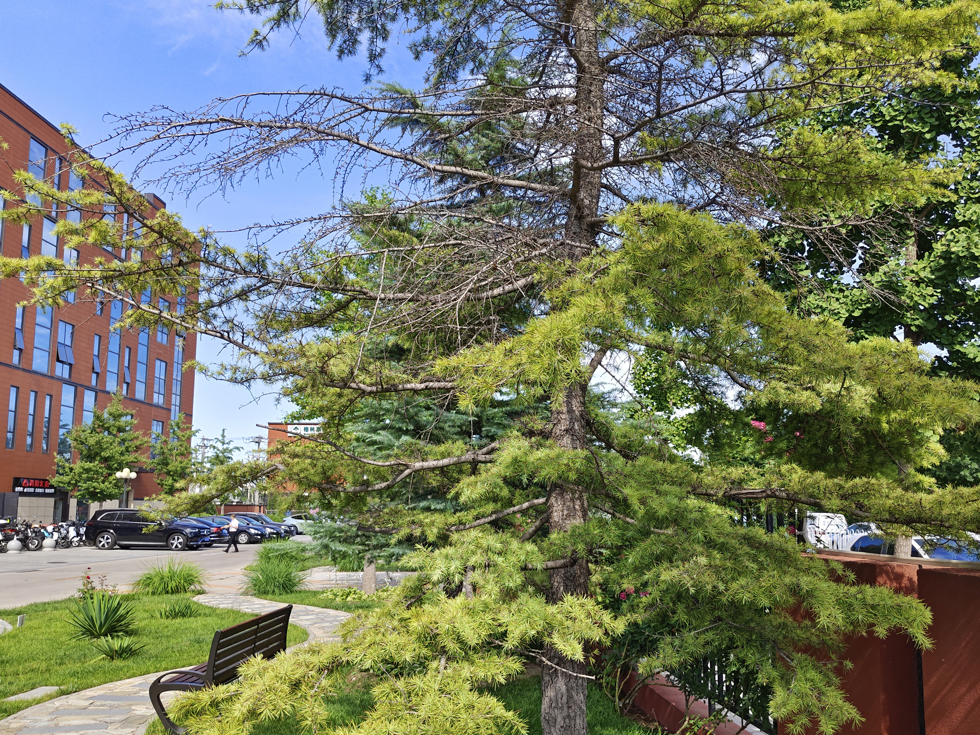 腾讯rog游戏手机6pro体验缺点,rog6和其他游戏手机对比