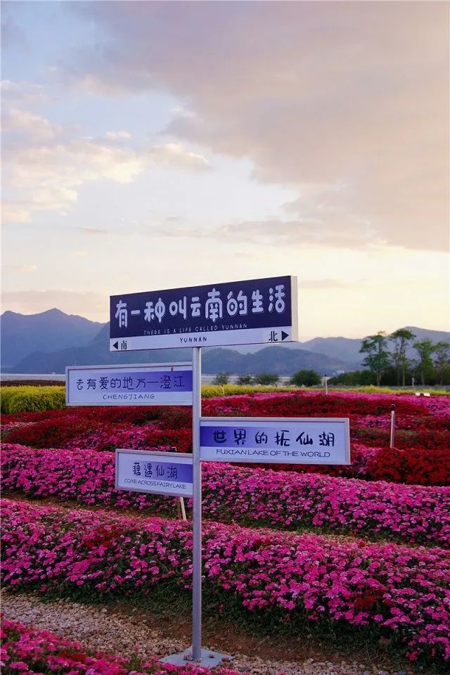 云南澄江抚仙湖,有一种云南的生活叫澄江