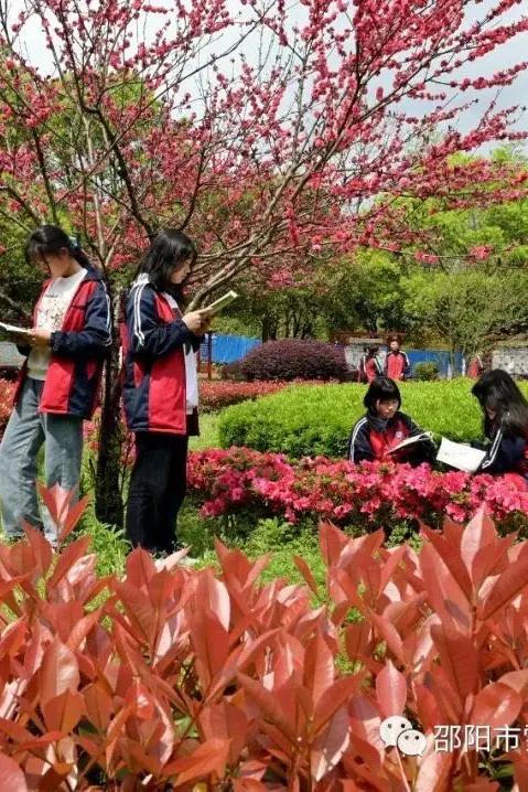 博雅职业学校好吗,博雅学校值得去吗