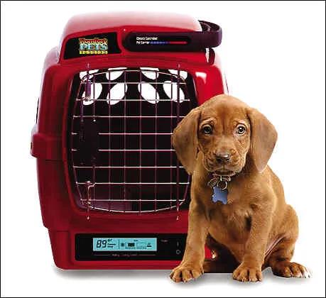 宠物托运经营项目,宠物托运公司怎么赚钱