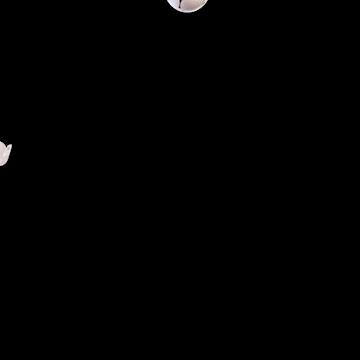 世界杯吉祥物拉伊卜图,世界杯吉祥物拉伊卜头像