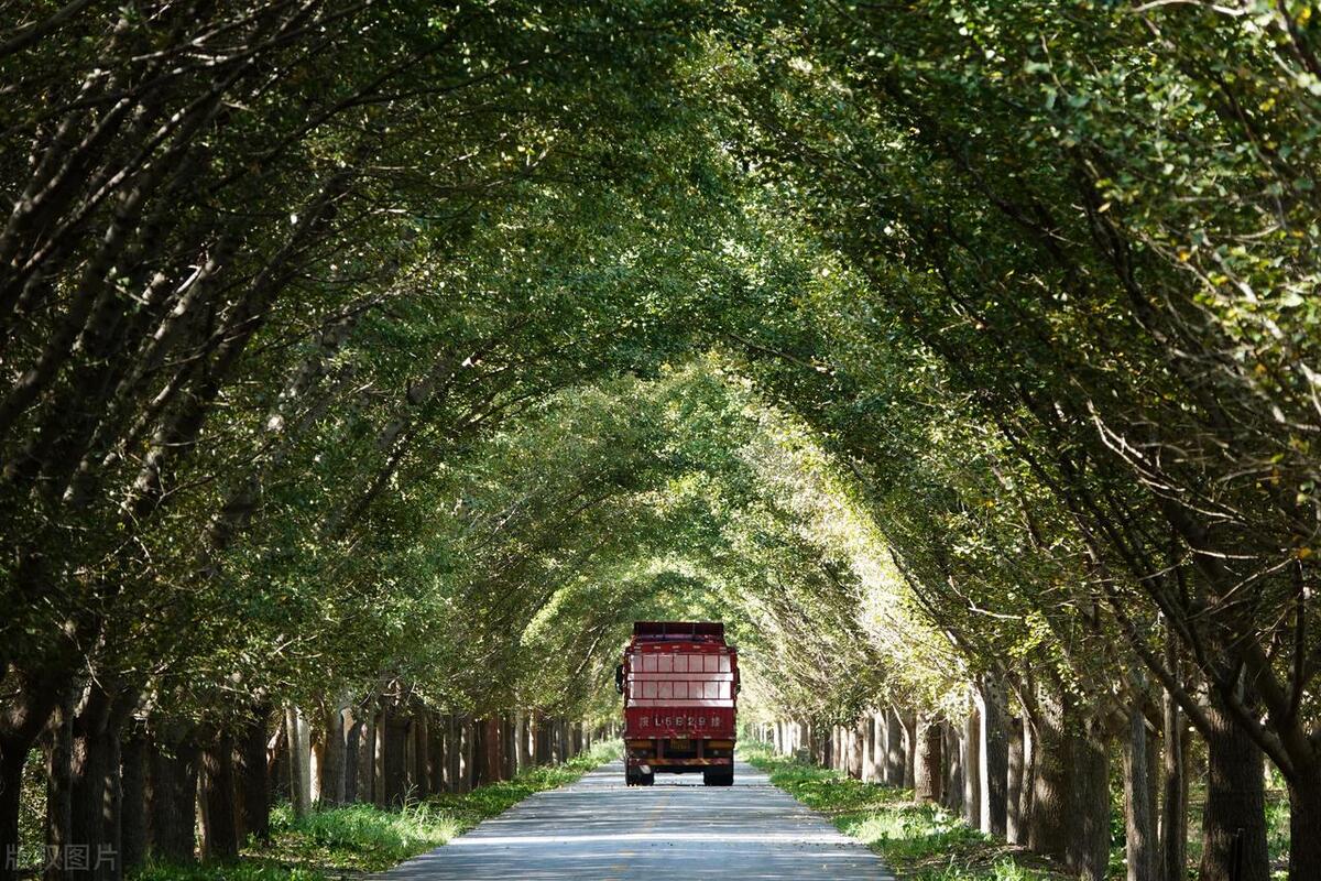 江苏唯一有山的城市,中国海拔最高的风景区