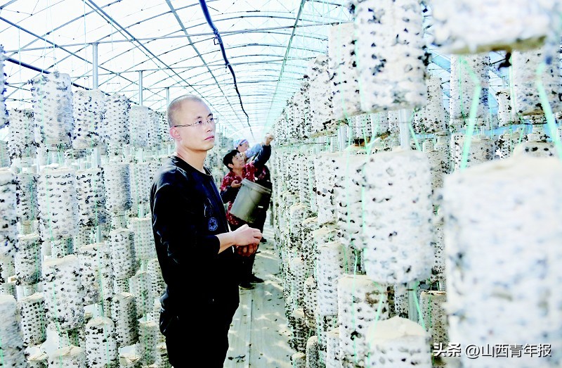 马亮农业合作社,马亮农业