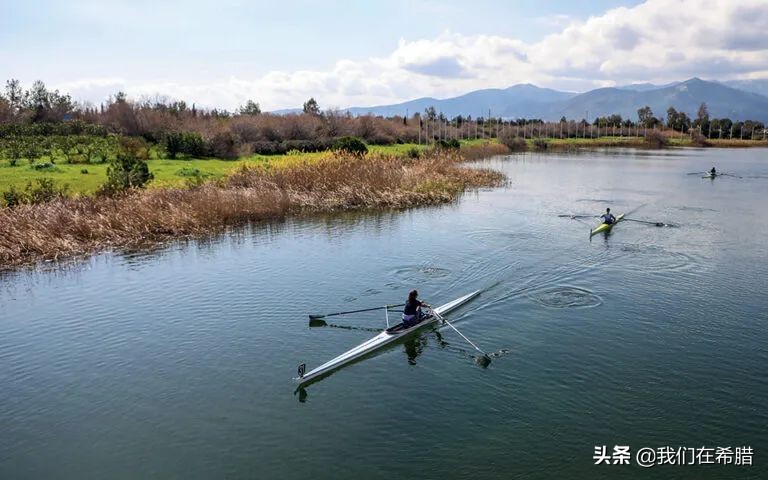 希腊人平均寿命,希腊人均寿命