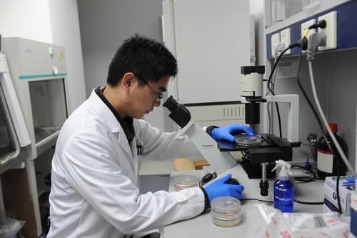 肠道微生物不同菌的功能 (肠道真菌与肠道微生物)