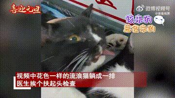 “爱笑”每日一槽！！NO:2