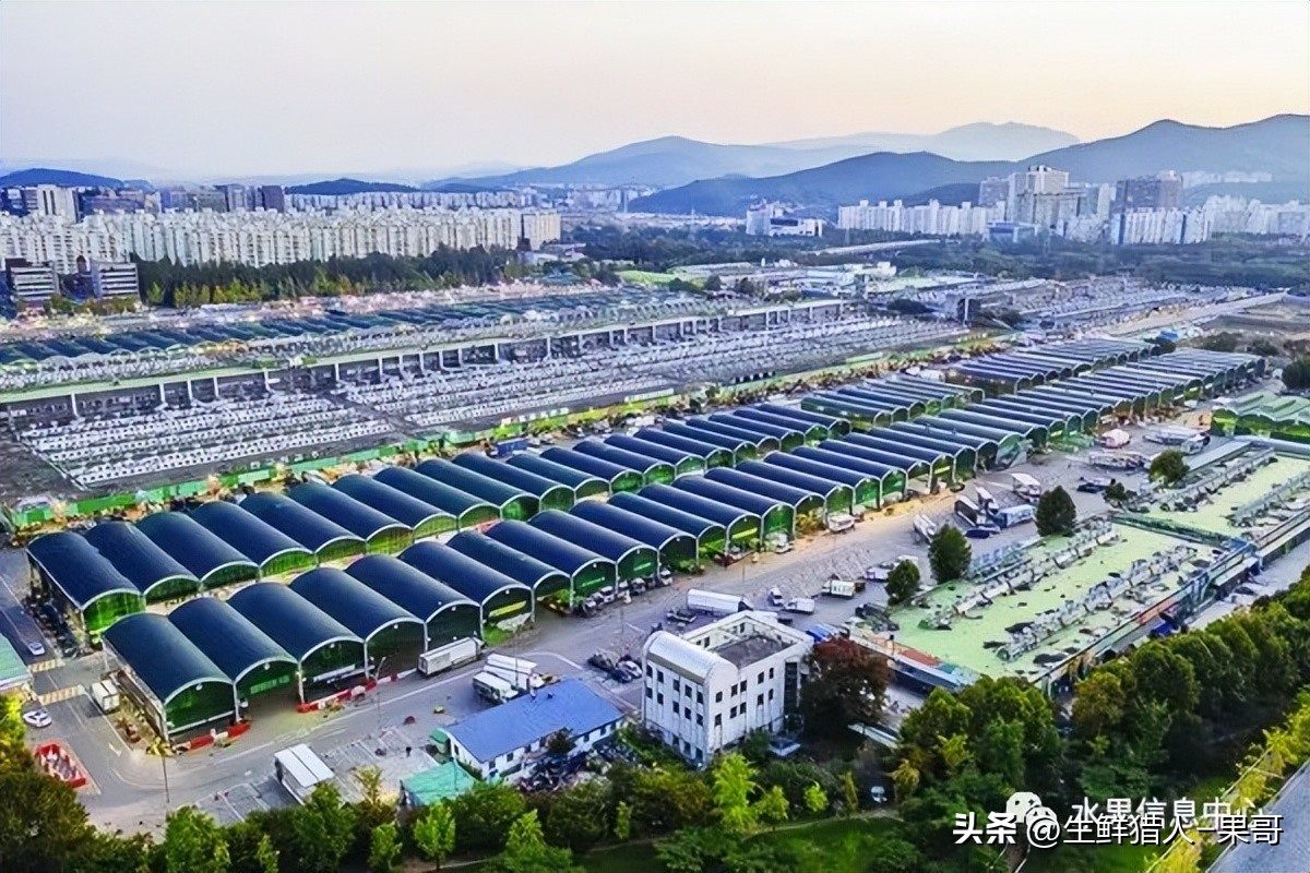 中国十大果蔬批发市场,全国十大蔬果批发市场