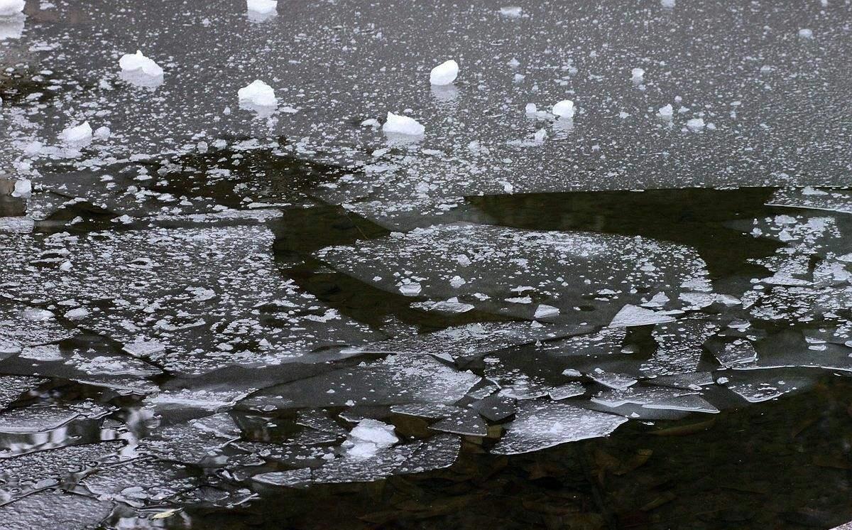 立冬节气冷不冷,立冬冷不冷