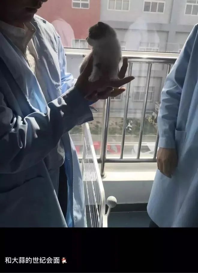 她惨死却热搜下架，你们满意了？