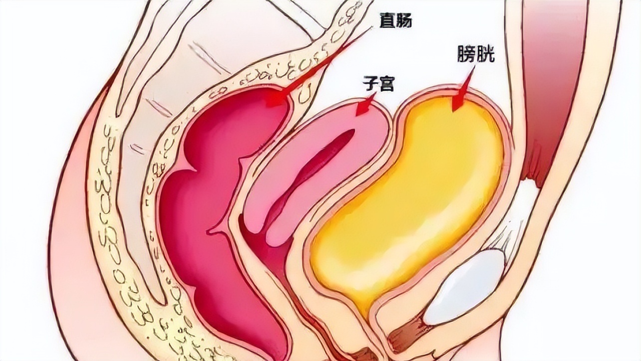 绝经后切除子宫对身体有什么影响,子宫切除后有什么影响