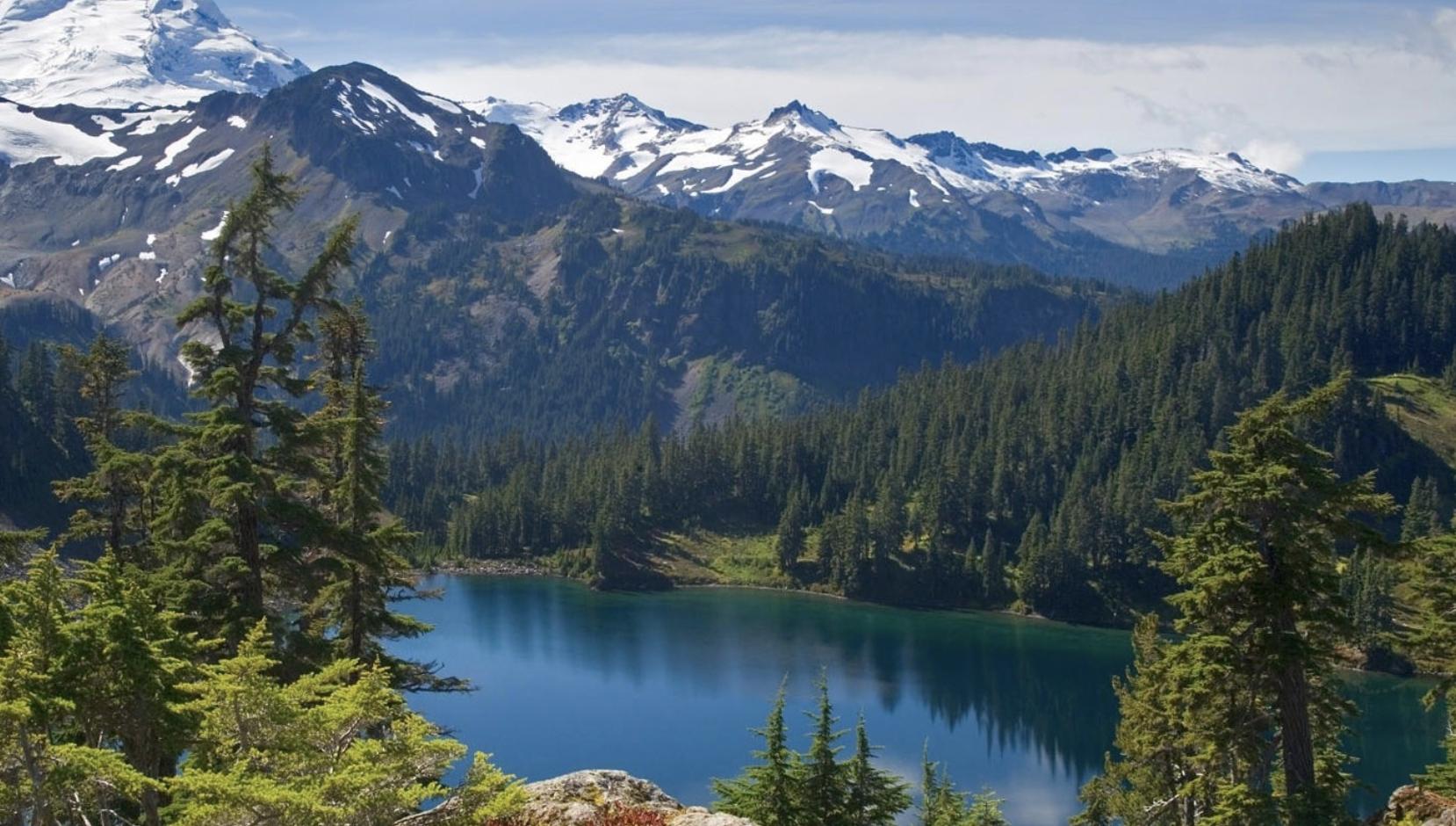 真正能扛事的人短句,真正能扛事的人都有哪些