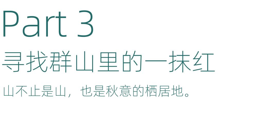 杭州秋日游攻略,杭州秋色上线这些赏秋地风景极佳