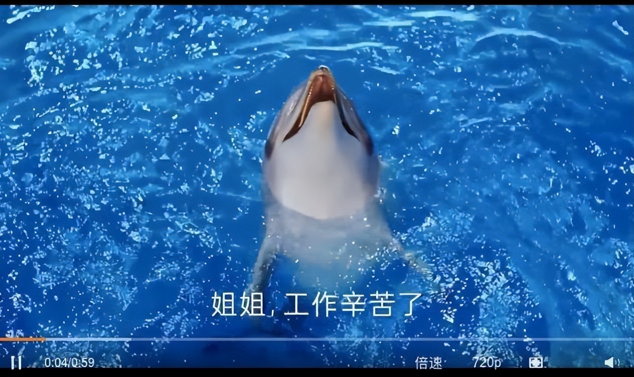 膜法世家海豚皮和二裂酵母面膜,膜法世家诡异海豚广告翻车