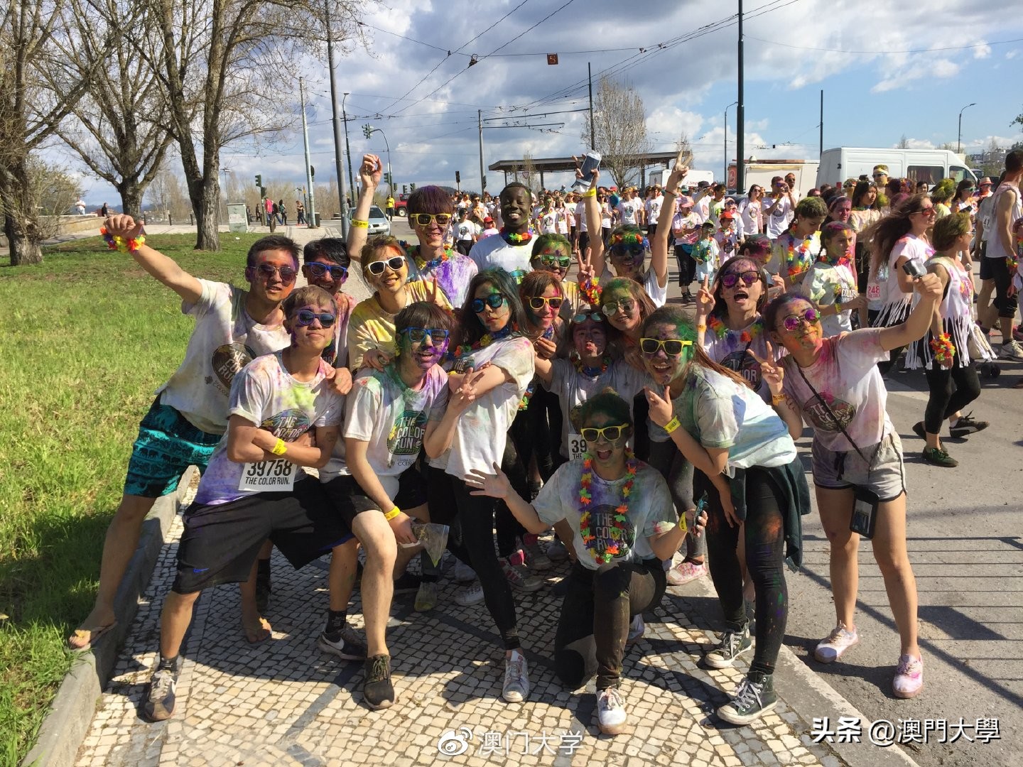 选科攻略,选科指导入门知识