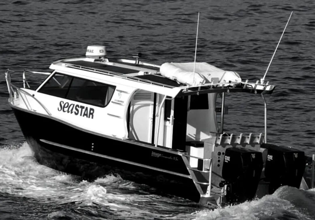 来自世界各国的评论区,来自世界各国的评论