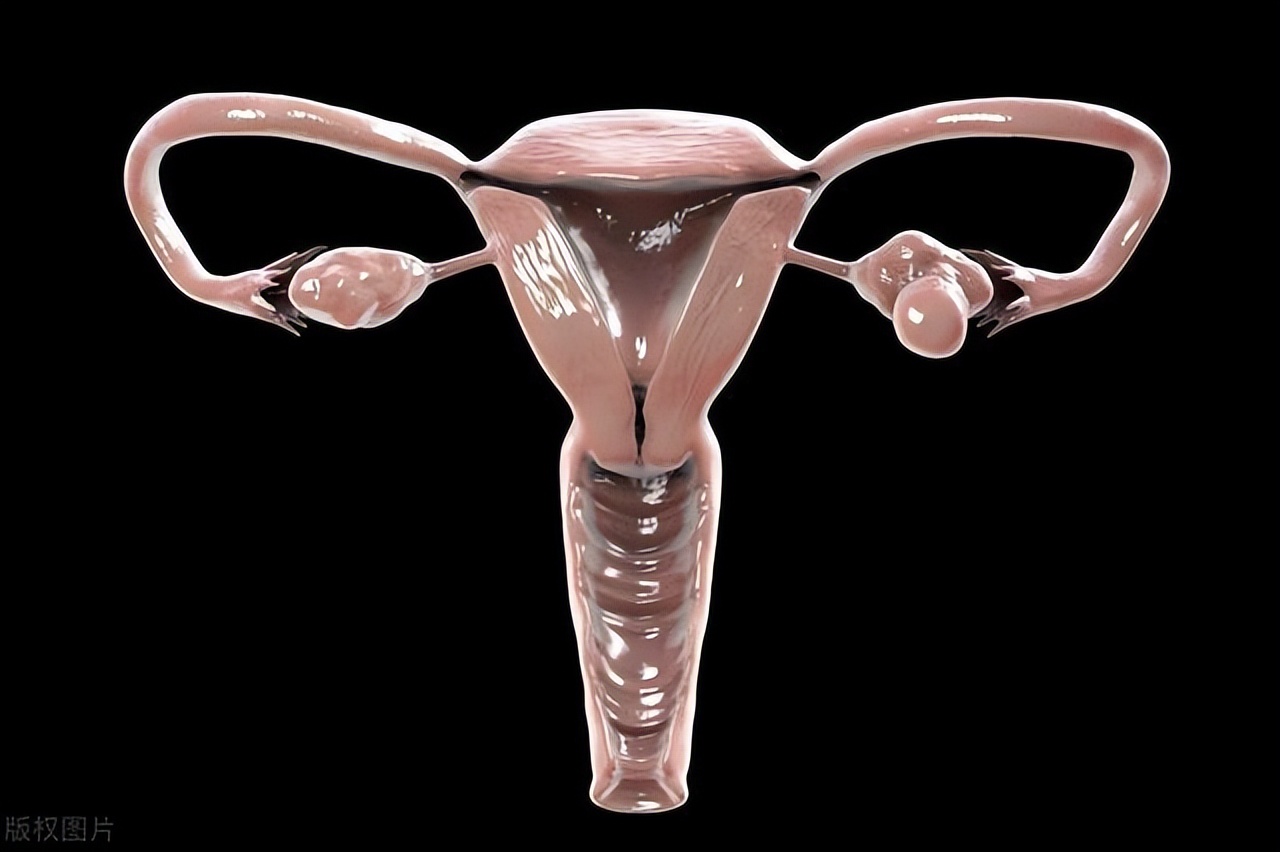 女性“巨阴症”，能不能够生育？医生提醒：3种情况要重视