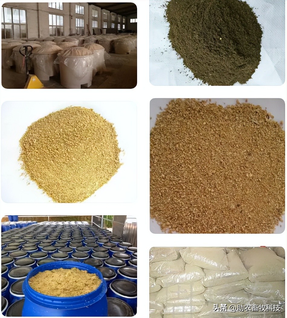 养猪吃饲料和发酵饲料哪种更好,怎样制作养猪发酵饲料