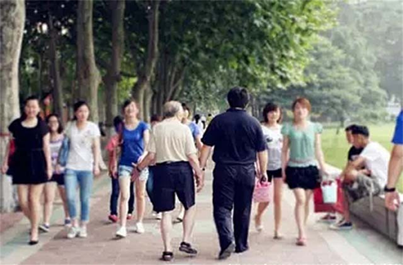 中国小伙报答在瑞士的八十岁房东,中国小伙报答瑞士房东最后的日子