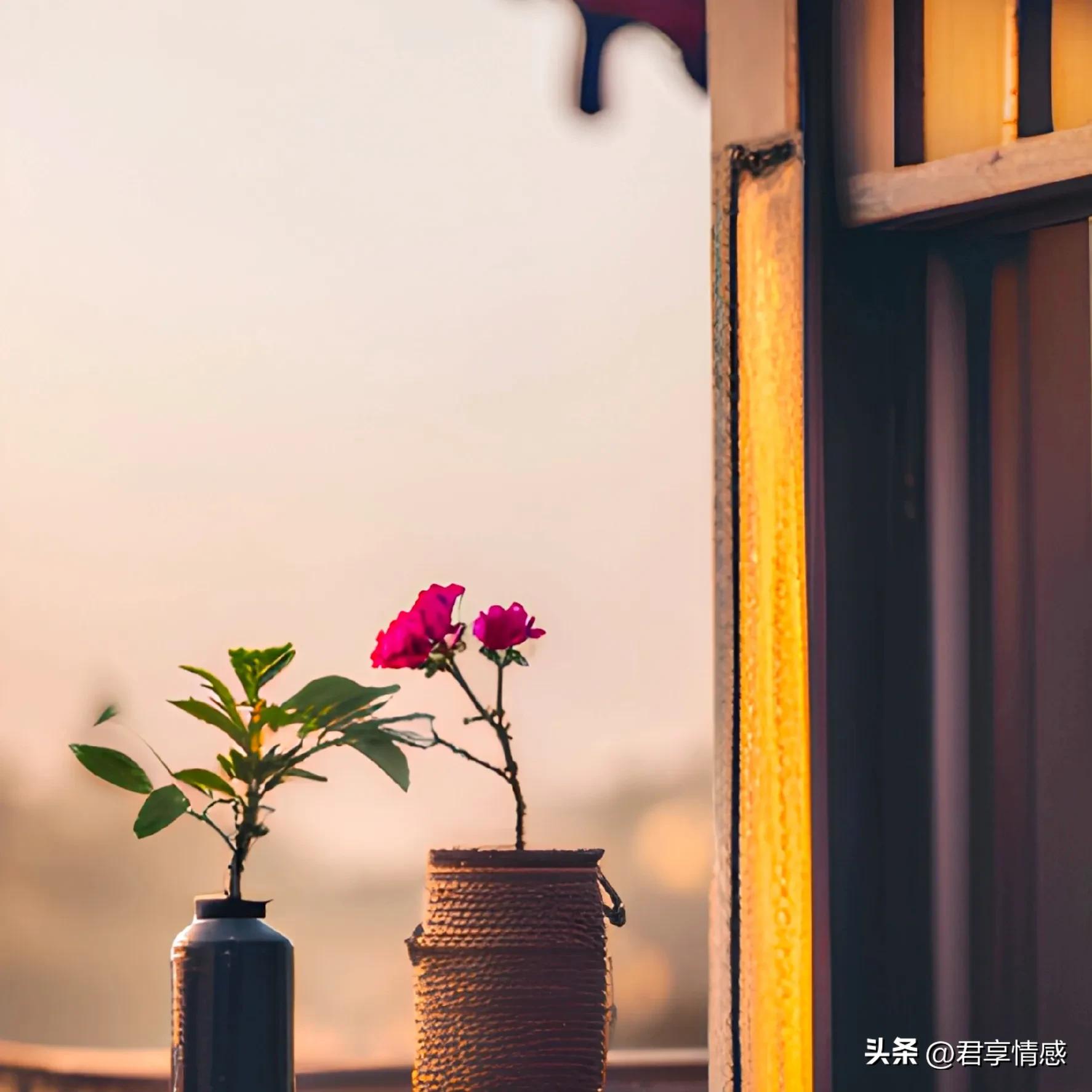 人应该怎么做才能算有良知,通往成功道路上永远不要抛弃良知