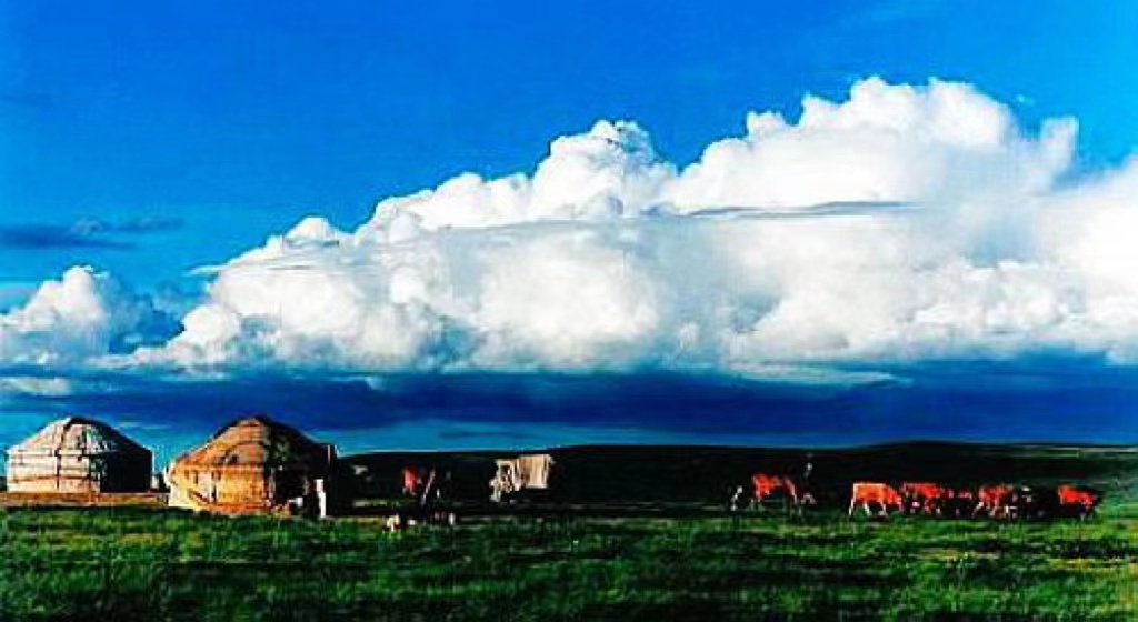 住进新家之后，老婆爱上了楼下邻居，我用离婚成全了他俩