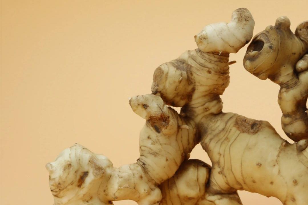 李时珍补女人气血的药,哪味药材被李时珍为气血双补之王