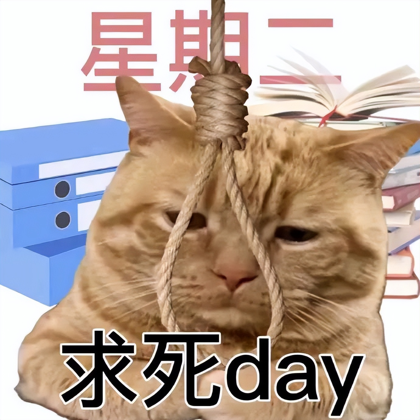 你们不用上班吗表情包猫猫图片,周一到周日的表情包猫猫