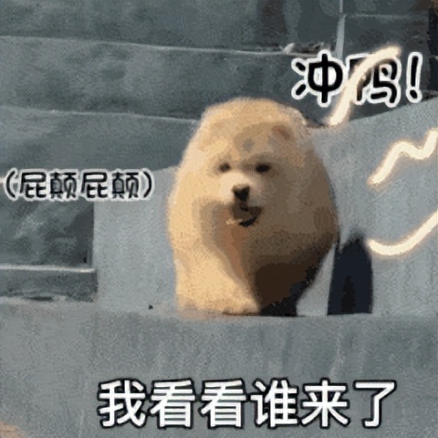 支持屏幕实时翻译的手机,什么手机可以屏幕翻译