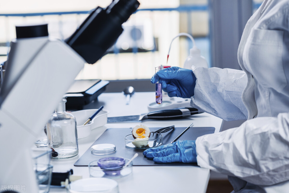 儿童肾病综合征的预后,fsgs肾病综合征的预后